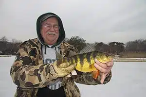 man ice fishing on pond holding up yellow perch